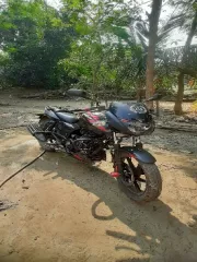 Bajaj Pulsar 150 Twin Disc